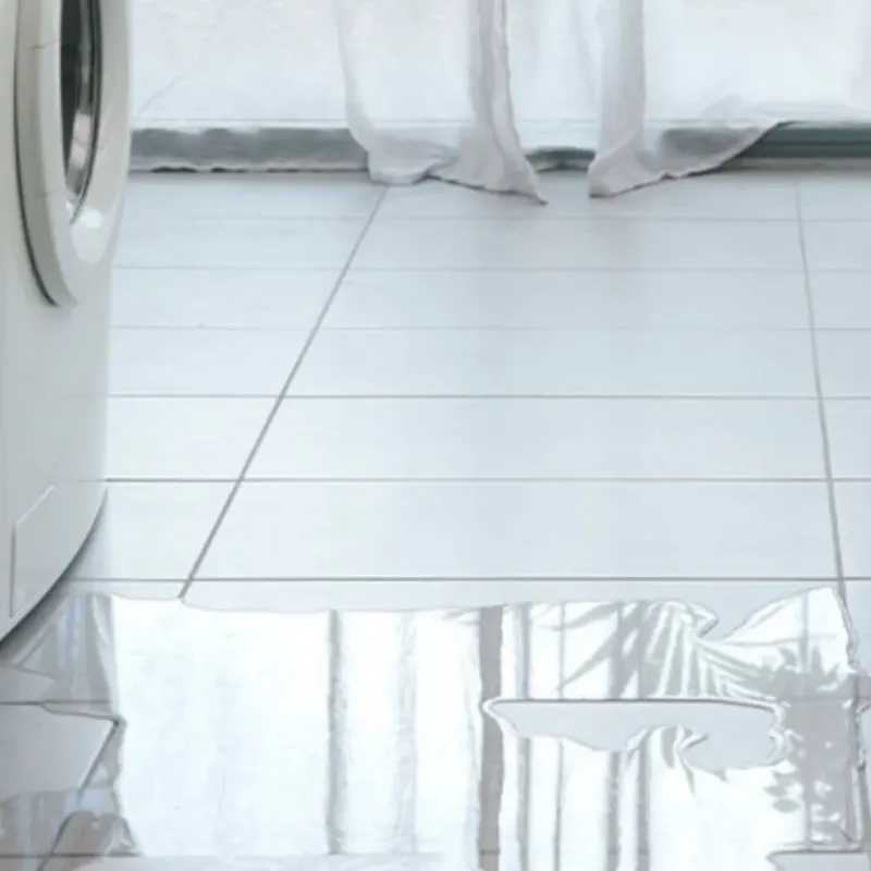 Appliance Leak Cleanup in Rancho Santa Margarita, CA